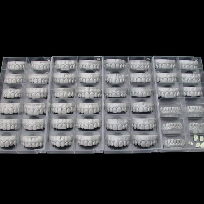 Tooth Library ZRS Wiedmann