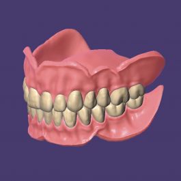健康・医学 Best Denture Design 健康・医学 Best Denture Design Amazon.com: Jesse Dent - DIY
